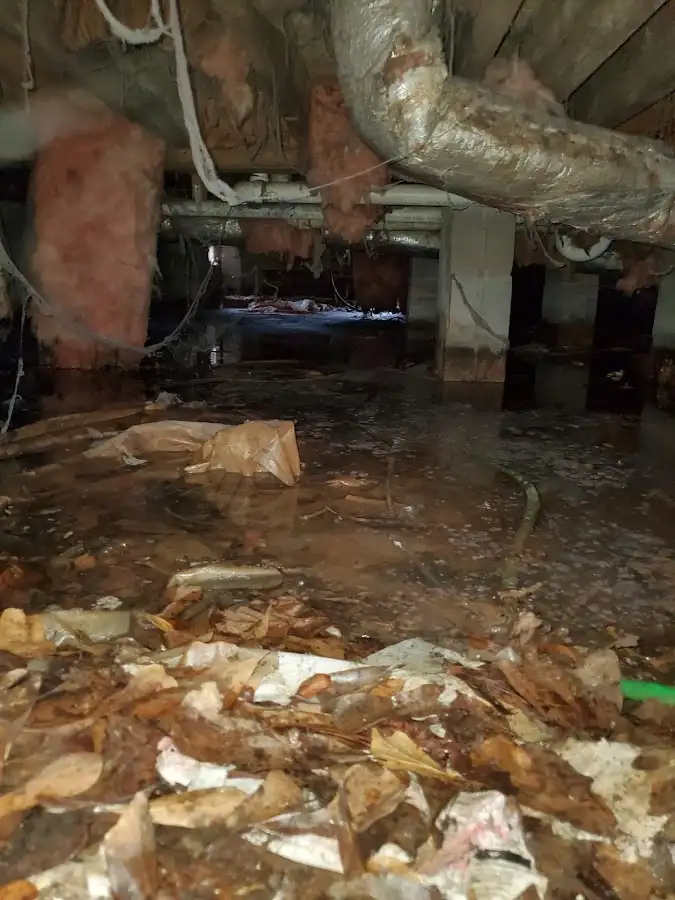 Crawl space flood assessment for Commercial Water Damage Restoration in Bradley