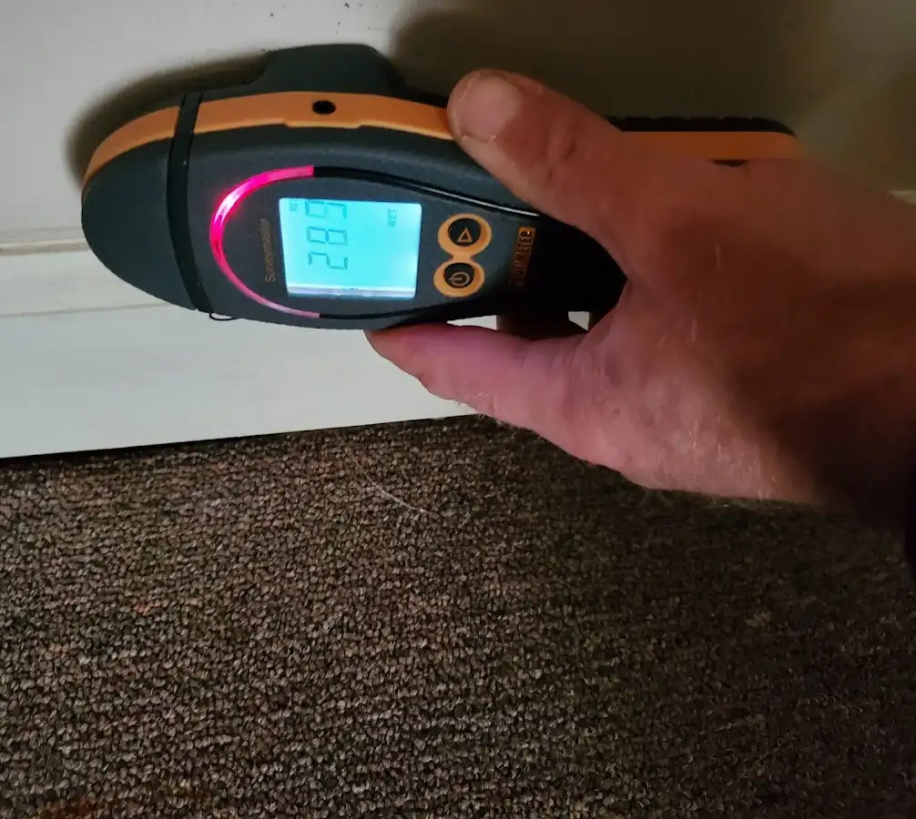Moisture detection at baseboard during Mold Inspection & Testing in Bradley